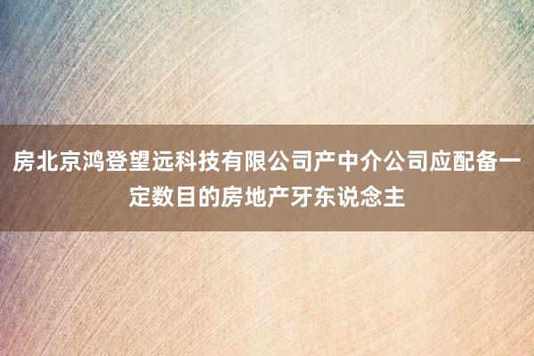 房北京鸿登望远科技有限公司产中介公司应配备一定数目的房地产牙东说念主