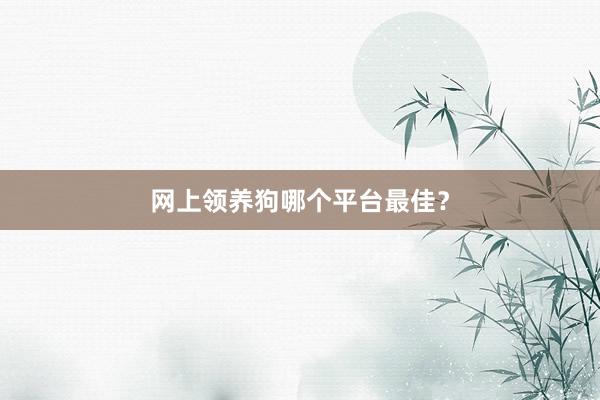 网上领养狗哪个平台最佳？