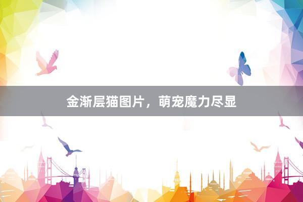 金渐层猫图片，萌宠魔力尽显
